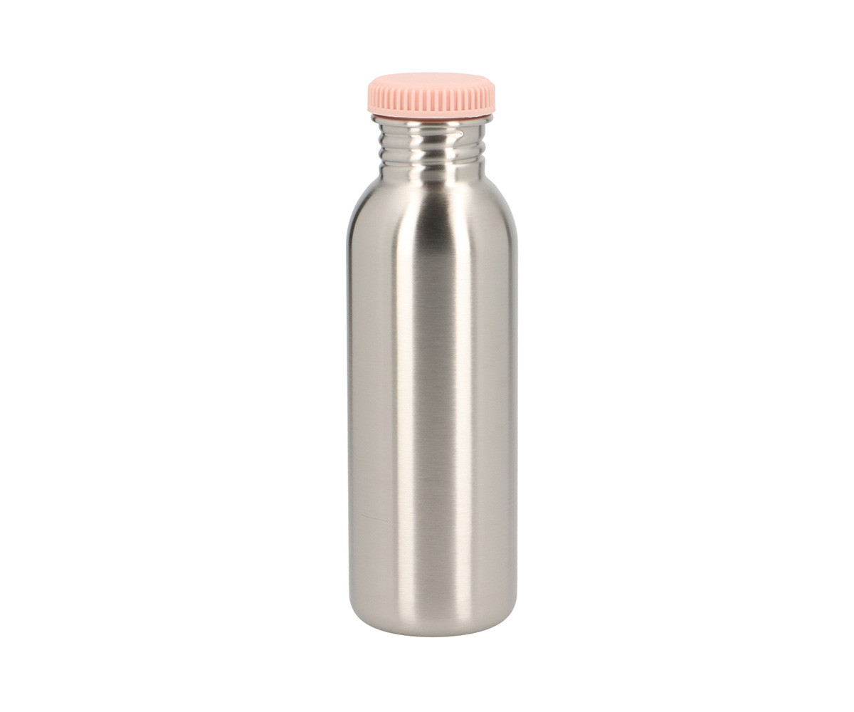 garrafa-de-aço-mouse-fairies-750ml-1